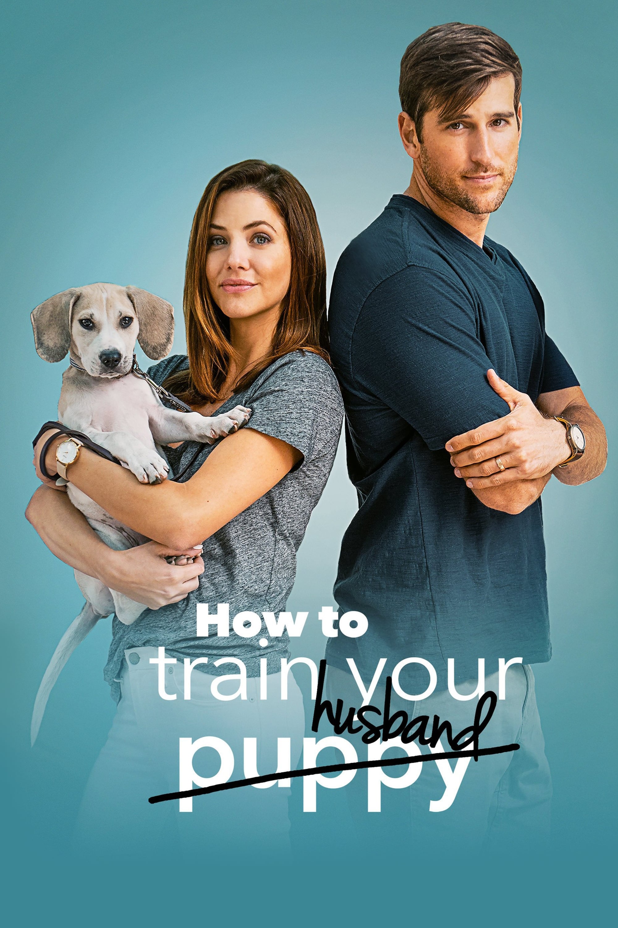 How to Train Your Husband or (How to Pick Your Second Husband First) How to Train Your Husband or (How to Pick Your Second Husband First) Poster