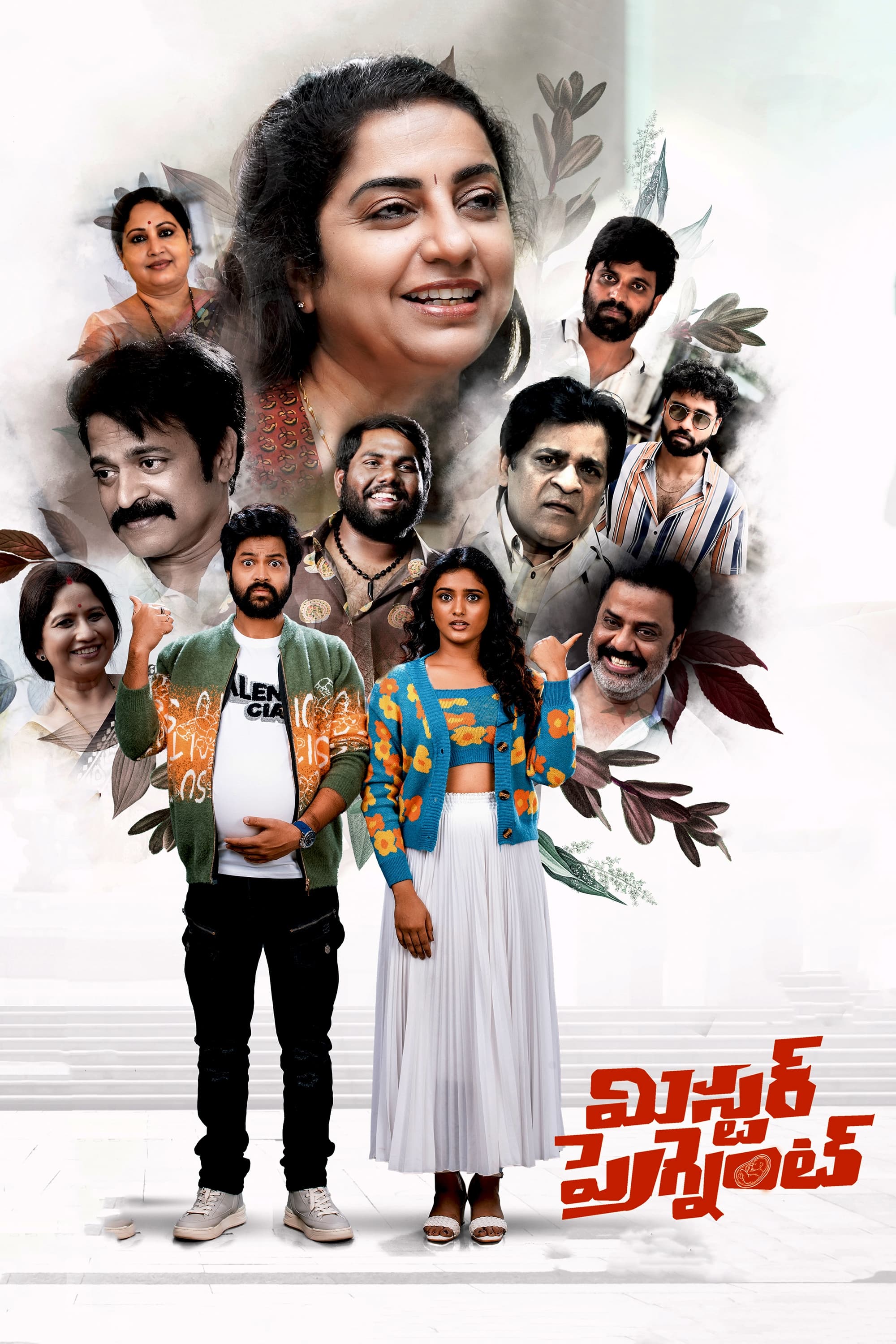 Mr. Pregnant Mr. Pregnant Poster