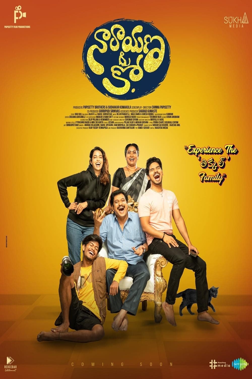 Narayana & Co Narayana & Co Poster