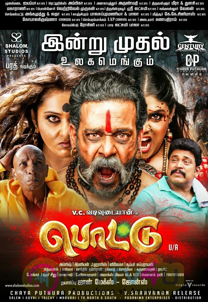 Pottu Pottu